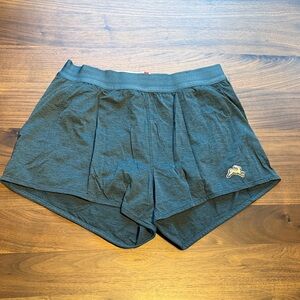 Tracksmith green blue run shorts (session)